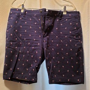 Express Shorts - Size 34